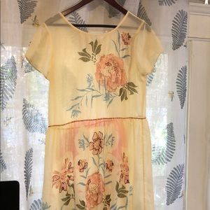 Free People sheer tunic